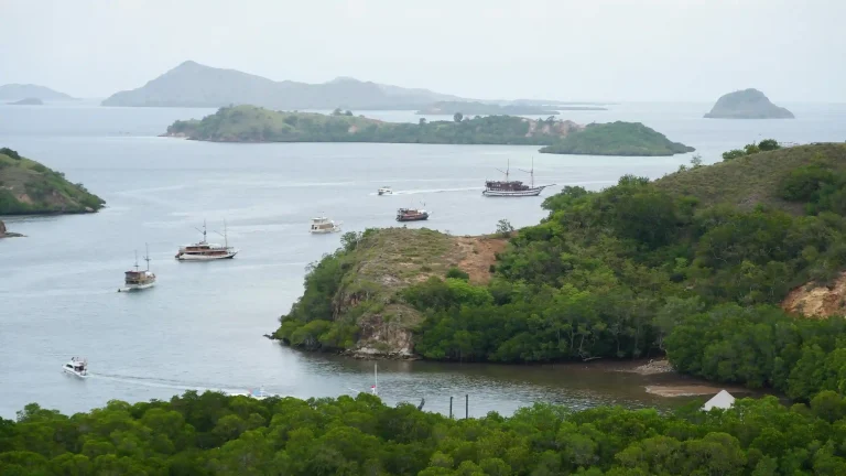 Komodo National Park coastline