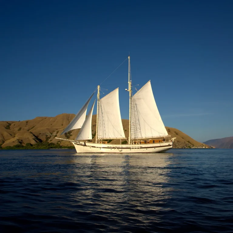 Cruising ground in eastern Indonesia