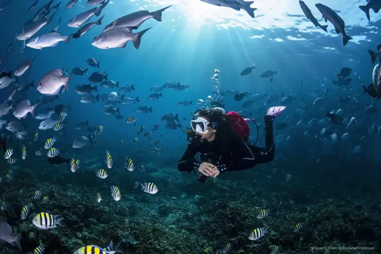 Cruising ground in eastern Indonesia