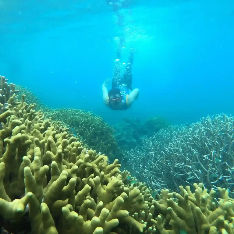 Cruising ground in eastern Indonesia