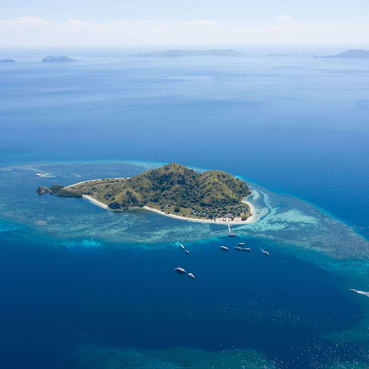 Cruising ground in eastern Indonesia