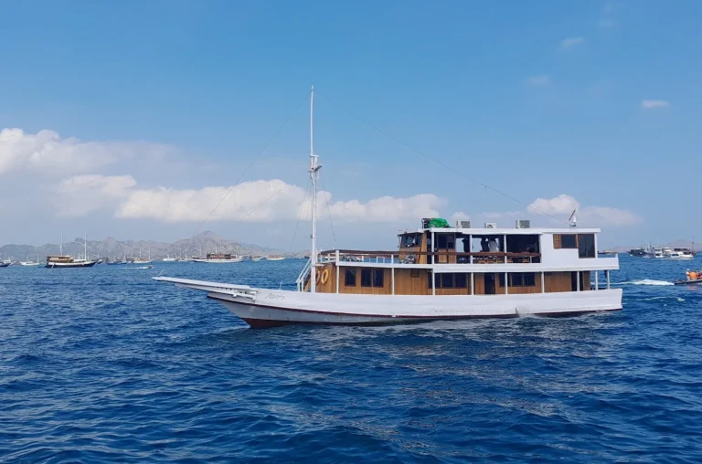 A phinisi under sail in Indonesian waters