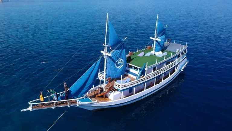 A phinisi under sail in Indonesian waters