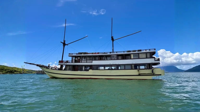 A phinisi under sail in Indonesian waters