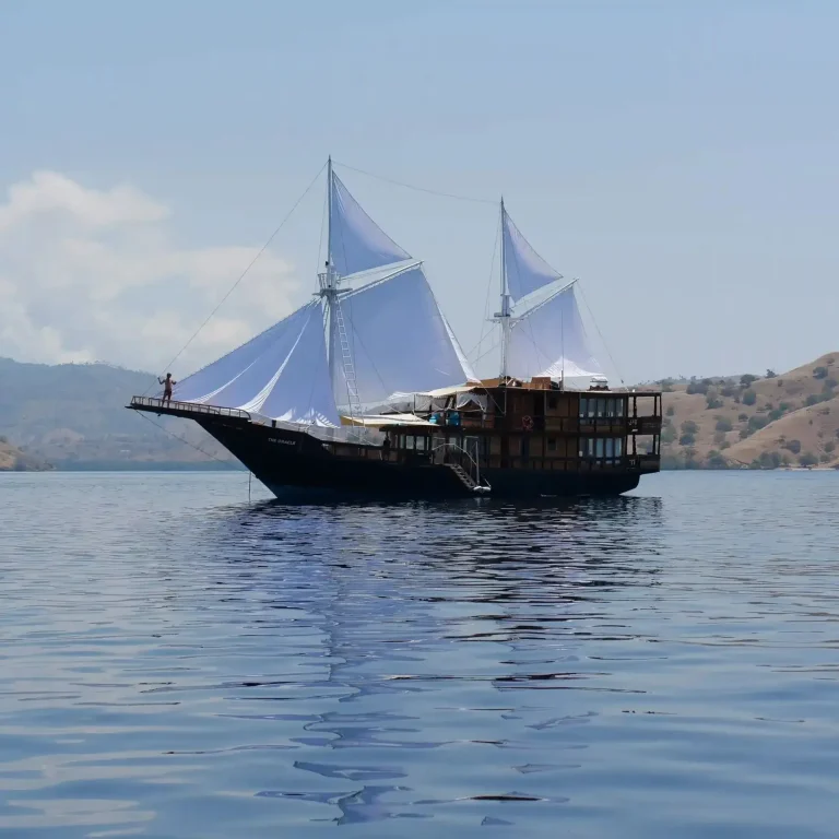 A phinisi under sail in Indonesian waters