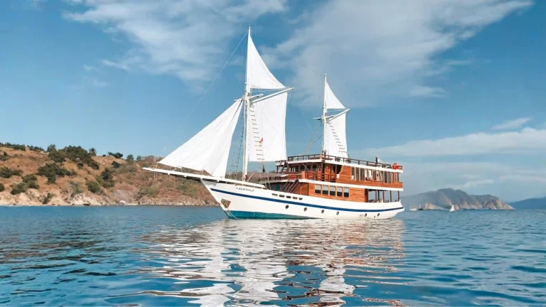 A phinisi under sail in Indonesian waters